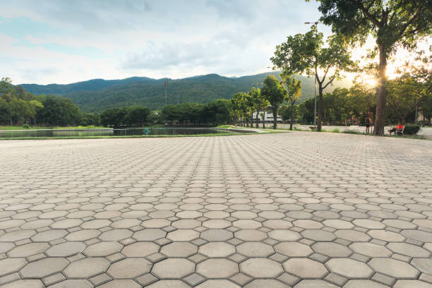 Professional Driveway Pavers in Lawai, HI